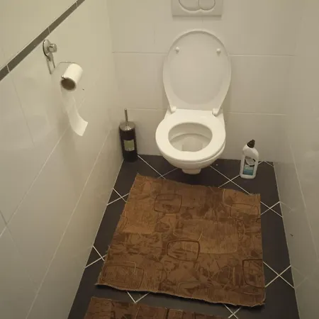 Ubytování v soukromí Byt Vinor Praha